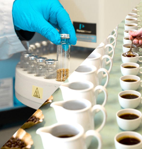 CC_ Leistungen Qualität